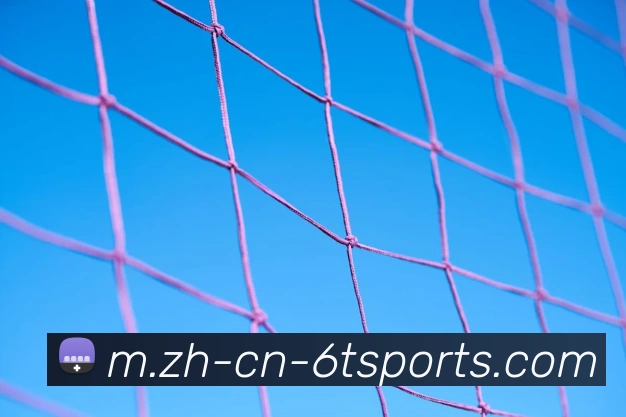 体育下注平台生态图