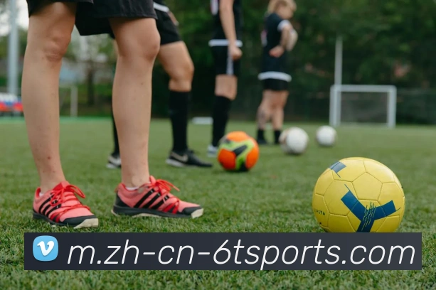 体育下注全站App