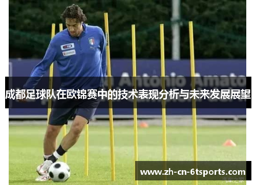 成都足球队在欧锦赛中的技术表现分析与未来发展展望