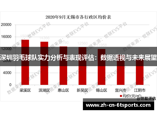 深圳羽毛球队实力分析与表现评估：数据透视与未来展望