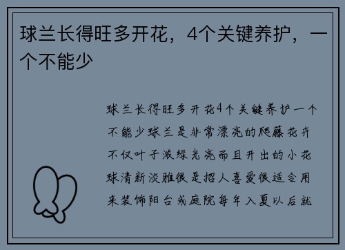 球兰长得旺多开花，4个关键养护，一个不能少